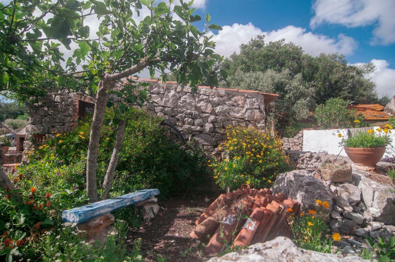 Casa Do Professor Βίλα Casais dos Monizes Εξωτερικό φωτογραφία