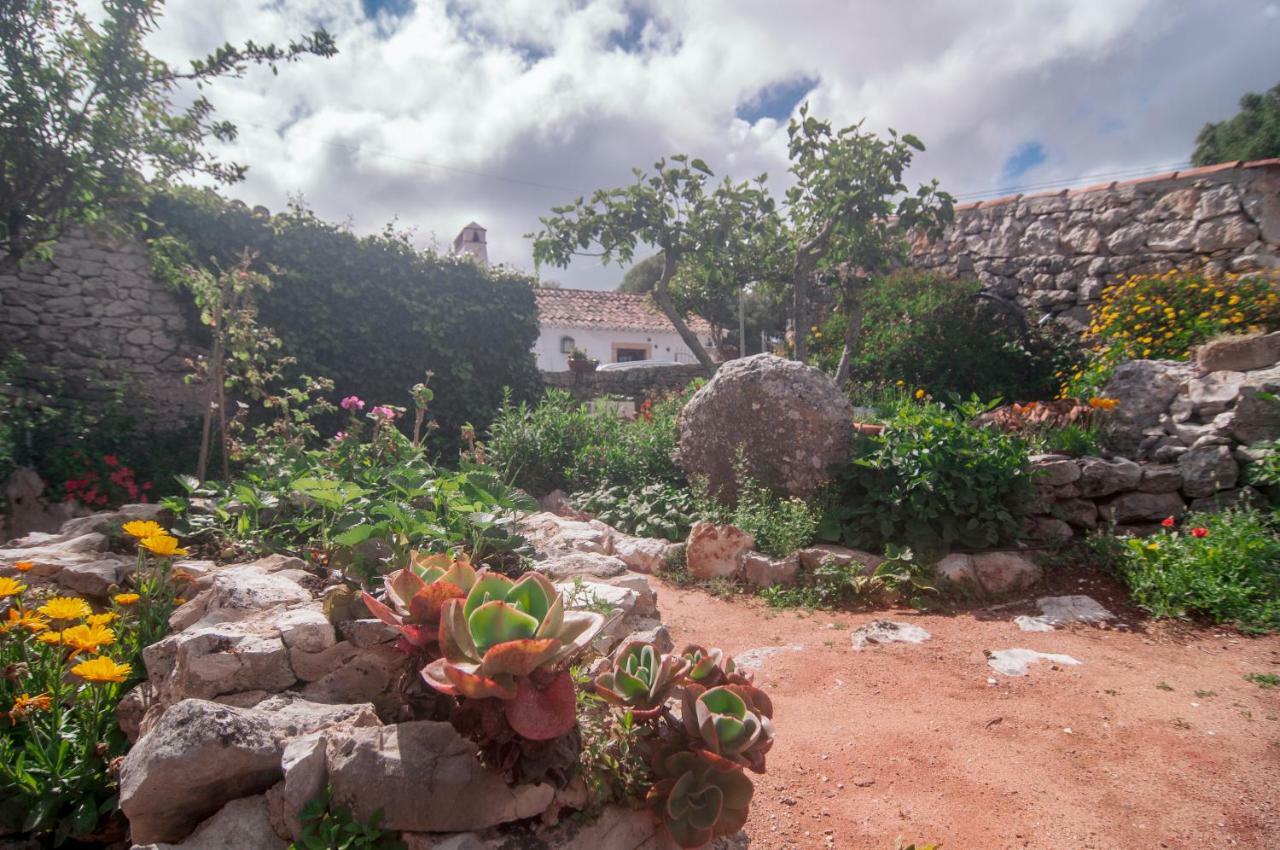 Casa Do Professor Βίλα Casais dos Monizes Εξωτερικό φωτογραφία